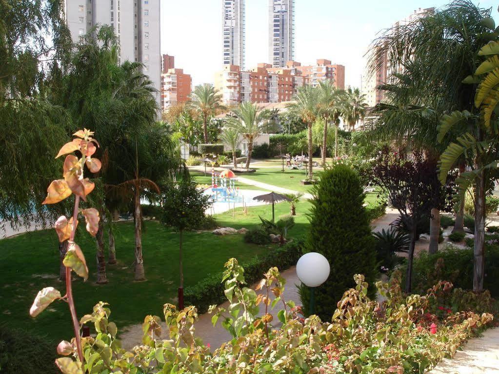 Gemelos 22 Benidorm
